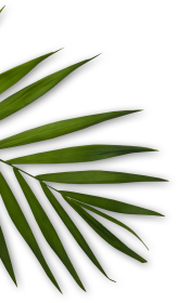 Graecare